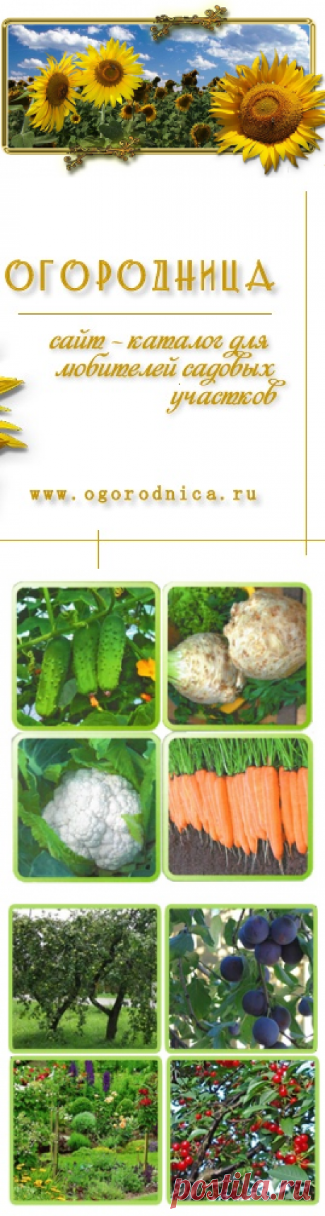 Огородница - сайт для садоводов и огородников, любителей дачных участков