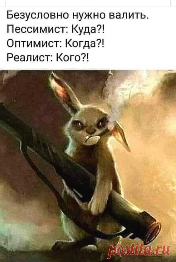 Разной степени новизны и адекватности! Для хорошего настроения и улучшения пищеварения! З.Ы.: Без коронавируса и политоты! 62 ШТуКи!