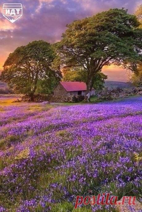 (87) Одноклассники