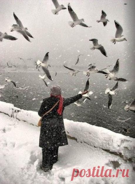 Хочу от жизни тишины, спокойствия и воли. ...Смотреть с надеждой вдаль судьбы без ощущения боли. ...Дышать не кислородом лжи, а правдой безупречной. ...На плечи бросить шаль любви и греться ею вечно...