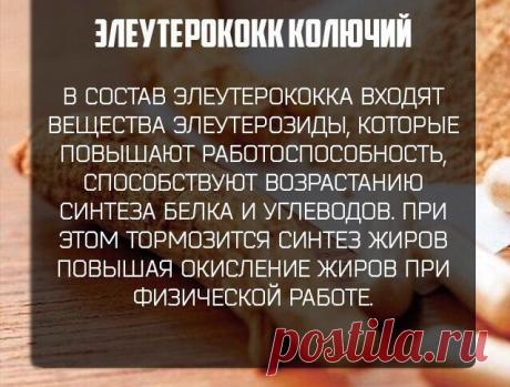 (2) Мой Мир@Mail.Ru