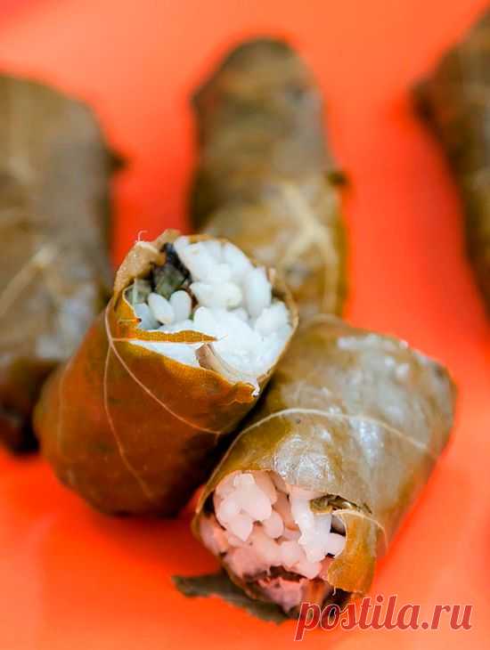 Вкуснейшая вегетарианская толма из армянской кухни! Просто и вкусно.