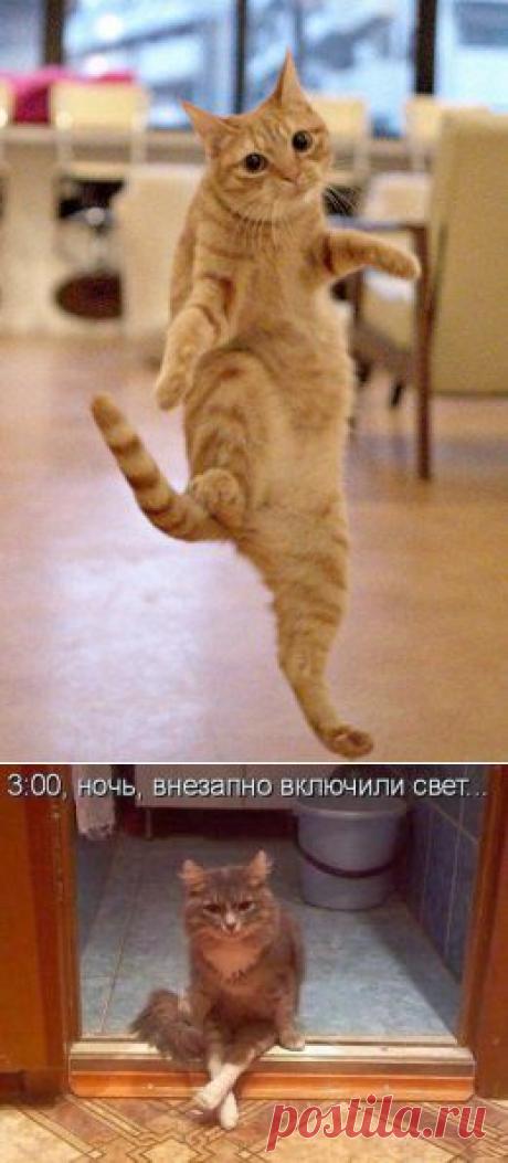 Интересные новости