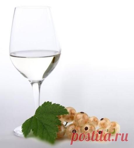 Домашнее вино из белой смородины рецепт с фото - 1000.menu
