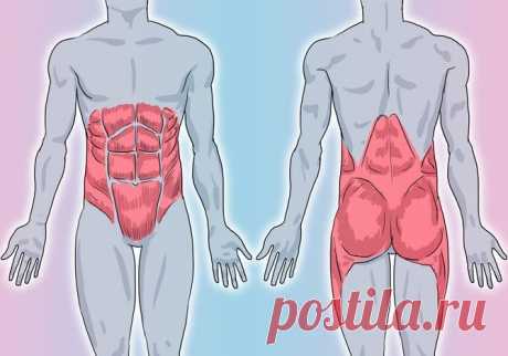 Укрепляем мышечный корсет: 5-минутные упражнения по Мюллеру » MAKATAKA