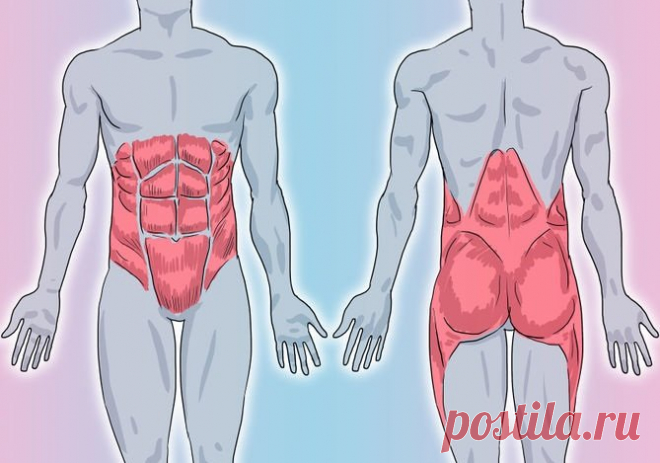 Укрепляем мышечный корсет: 5-минутные упражнения по Мюллеру » MAKATAKA