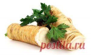 Лучшие природные антибиотики