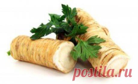 Лучшие природные антибиотики