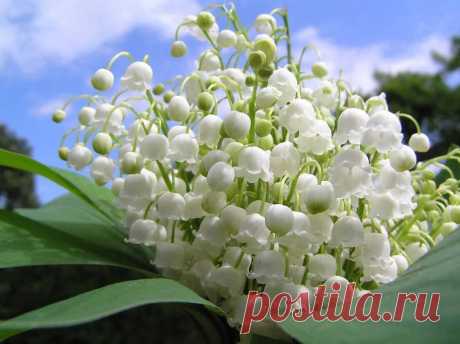 (1) Facebook