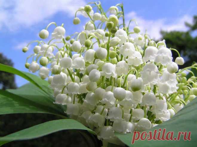(1) Facebook