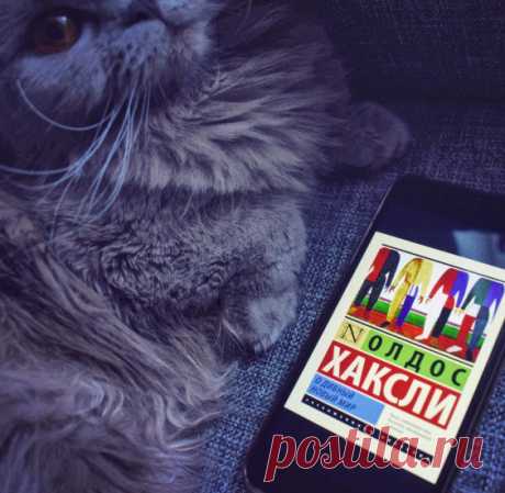 «О дивный новый мир!» Олдос Хаксли Наконец-то мои руки добрались до антиутопии О дивный новый мир! Олдоса Хаксли.. То, что эта книга 📖 была выпущена в 1932 году, поистине удивляет и пораж ...