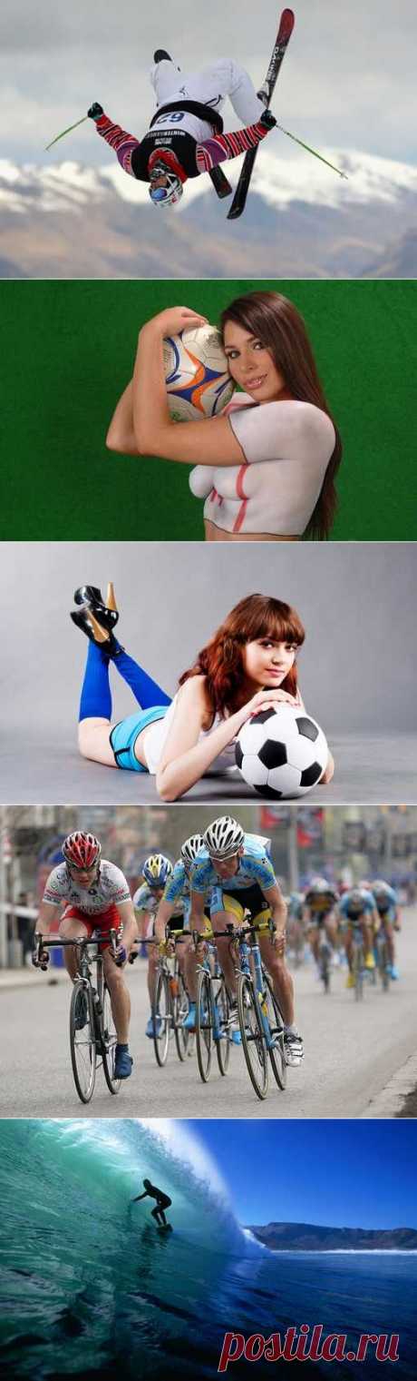 Роллер-спорт, Го, Плавание в ластах, Крокет. (1/1) - Спортивный форум. - Спортивный сайт