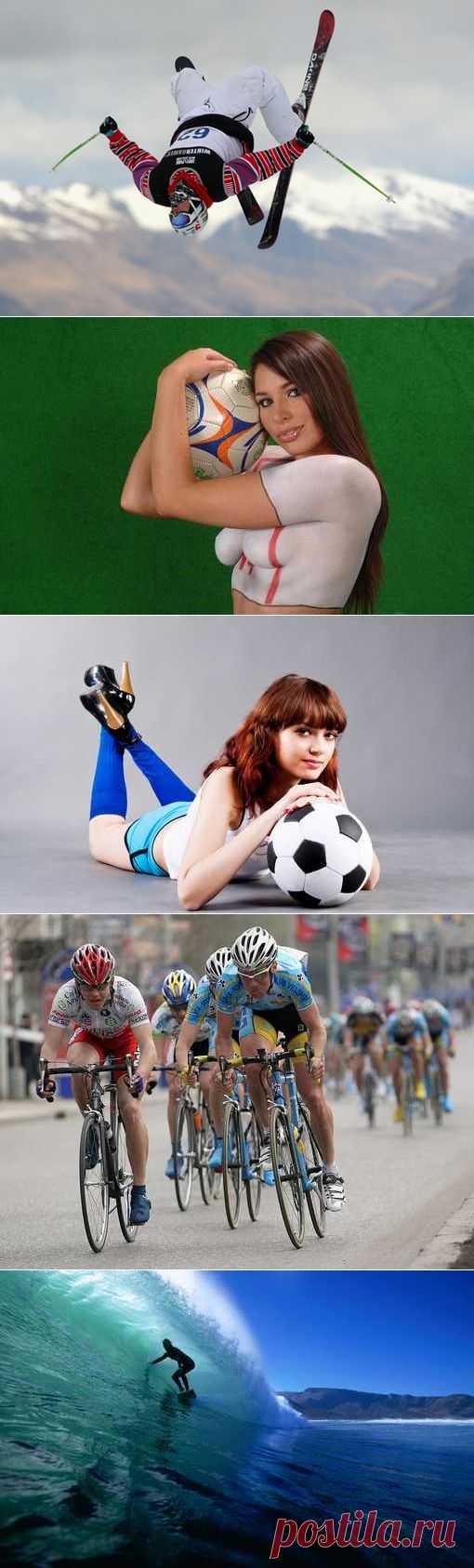 Роллер-спорт, Го, Плавание в ластах, Крокет. (1/1) - Спортивный форум. - Спортивный сайт