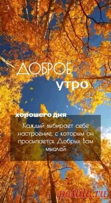 Пин содержит это изображение: Доброе утро