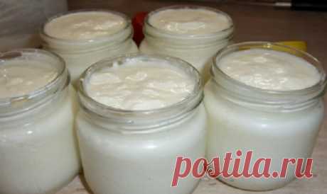 За сутки у тебя получится один из самых полезных продуктов в мире! Готовь банки. — Копилочка полезных советов