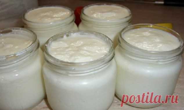 За сутки у тебя получится один из самых полезных продуктов в мире! Готовь банки. — Копилочка полезных советов