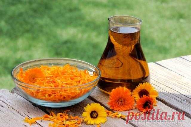 Масло календулы — свойства и применение
