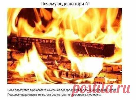 Ответы на детские вопросы, от которых «взрывается» мозг