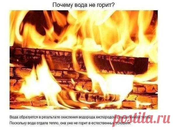 Ответы на детские вопросы, от которых «взрывается» мозг
