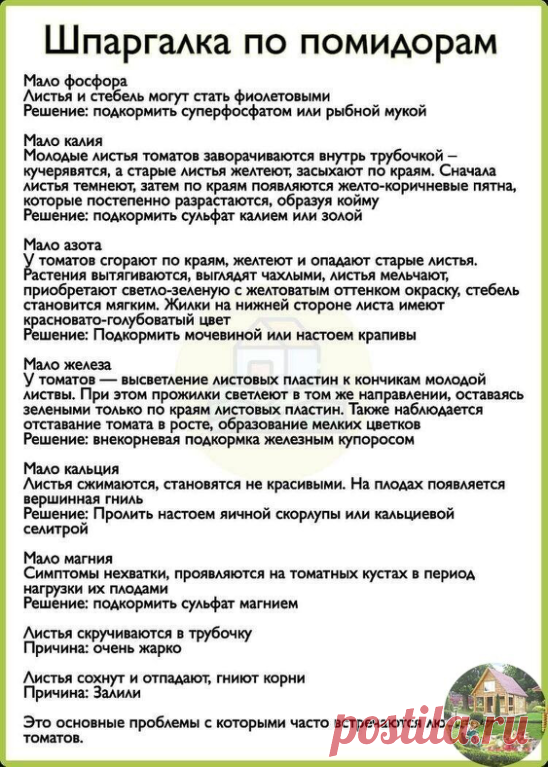 Про помидоры. 
Полезно знать