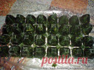 Свежая зелень зимой