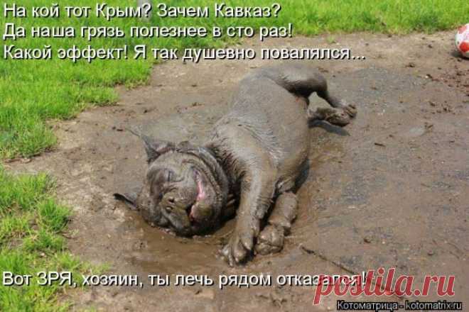 зря......как хорошо.