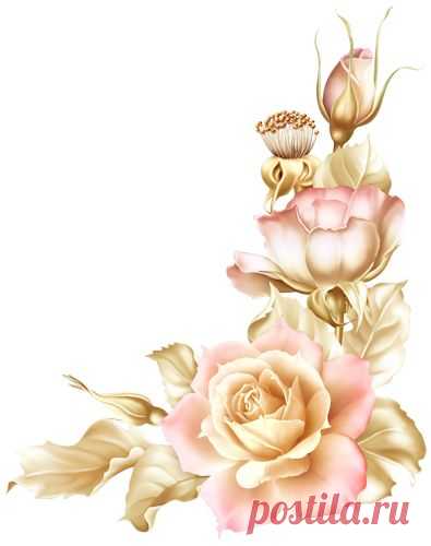 (24) Pinterest