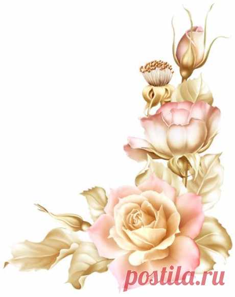 (24) Pinterest