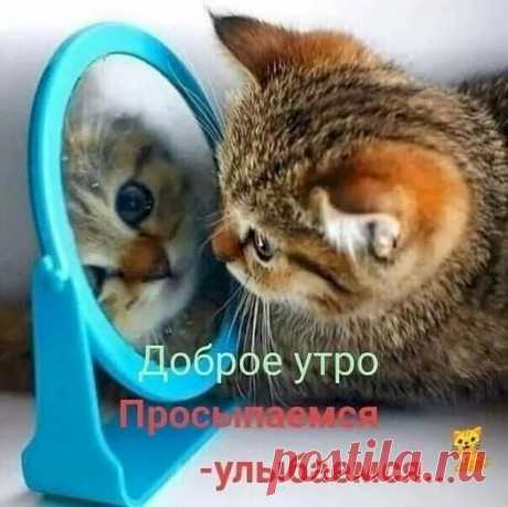 55756637.jpg (526×525)