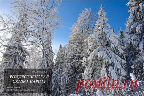 Фотопрогулки. Рождественская сказка Карпат
