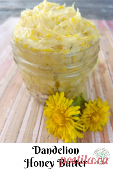 Delicious Dandelion Blossom Honey Butter * The Homesteading Hippy