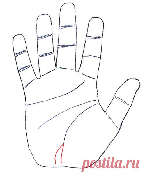 5 важных знаков удачи и успешности у вас на ладони: а у вас они есть?