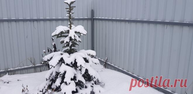 Не прикручивайте саморезом профлист. Не допускайте нашу ошибку (последствия 