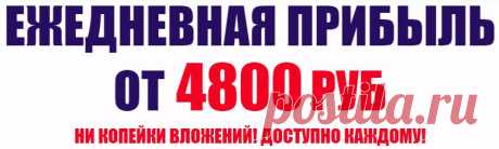 Как заработать в интернете 4800 руб в сутки