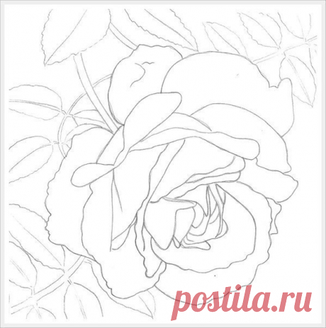 Учимся рисовать розу акварелью — Сделай сам, идеи для творчества - DIY Ideas