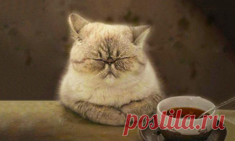 Китайская мудрость в народных пословицах – Фитнес для мозга