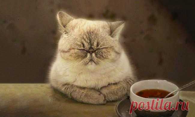 Китайская мудрость в народных пословицах – Фитнес для мозга