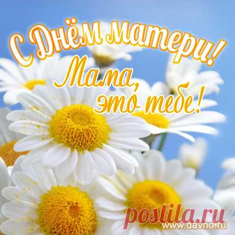Моя мама дорогая,
С Днем матери тебя!
Сил, здоровья пусть хватает.
Береги, цени себя.