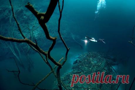 10 реальных природных явлений, которые выглядят как крутые картинки из фотошопа | Biletik.Aero | Яндекс Дзен