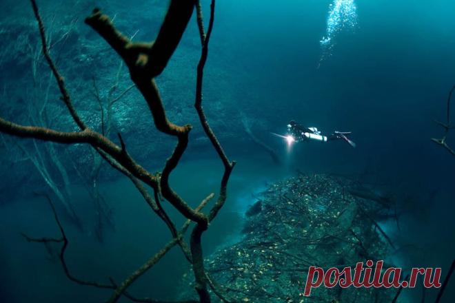 10 реальных природных явлений, которые выглядят как крутые картинки из фотошопа | Biletik.Aero | Яндекс Дзен