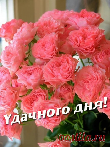 Здравствуй, Май!
Цветущий 
май!

Самое ценное в жизни - человеческое тепло. В любое время года.. В любом возрасте.. Оно никогда не бывает неуместным. Его никогда не бывает много..