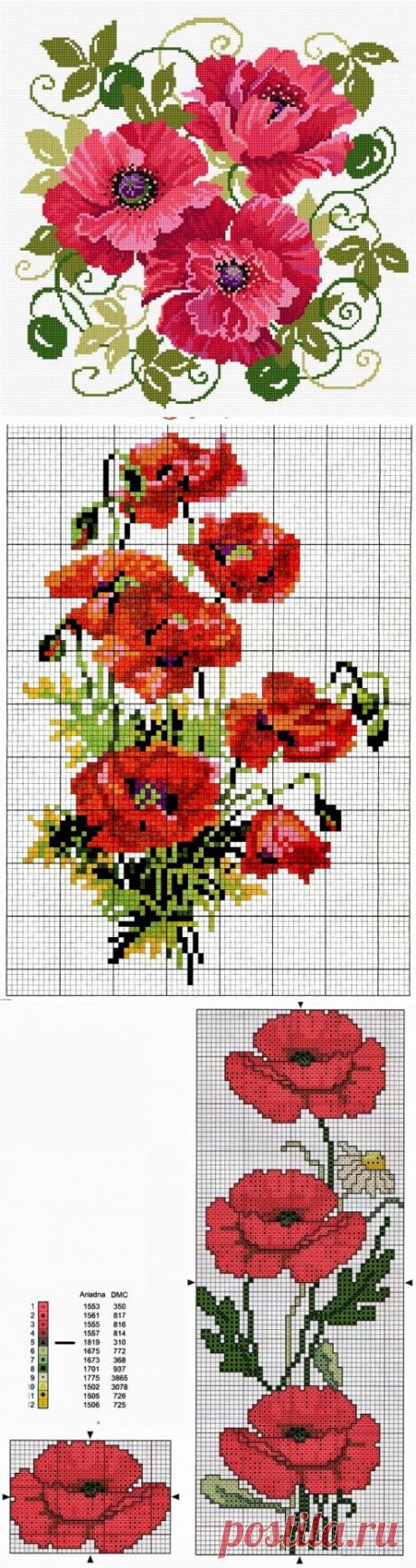 АХ,ЭТИ ПРЕКРАСНЫЕ МАКИ!!!