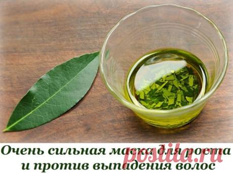 ОЧЕНЬ СИЛЬНАЯ МАСКА ДЛЯ РОСТА И ПРОТИВ ВЫПАДЕНИЯ ВОЛОС
Маска очень проста, ингредиенты тоже:
лавровый лист — 4-5 штук;
ржаной хлеб — до состояния кашицы;
вода — 250 мл.
Показать полностью…