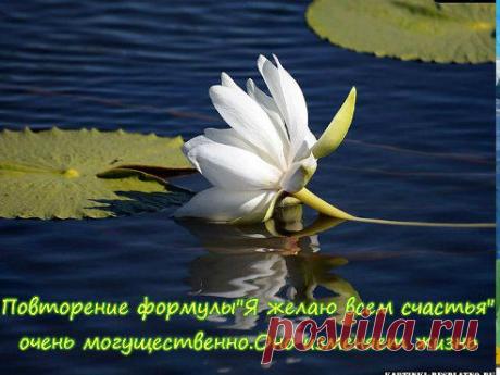 Владимир-Лирник Абаньшин ( Баша ) отмечен Еленой Рязановой