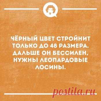 Новая подборка отличных шуток для настроения