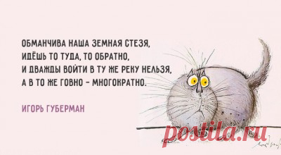 Хлёсткие «Гарики» Игоря Губермана – Фитнес для мозга