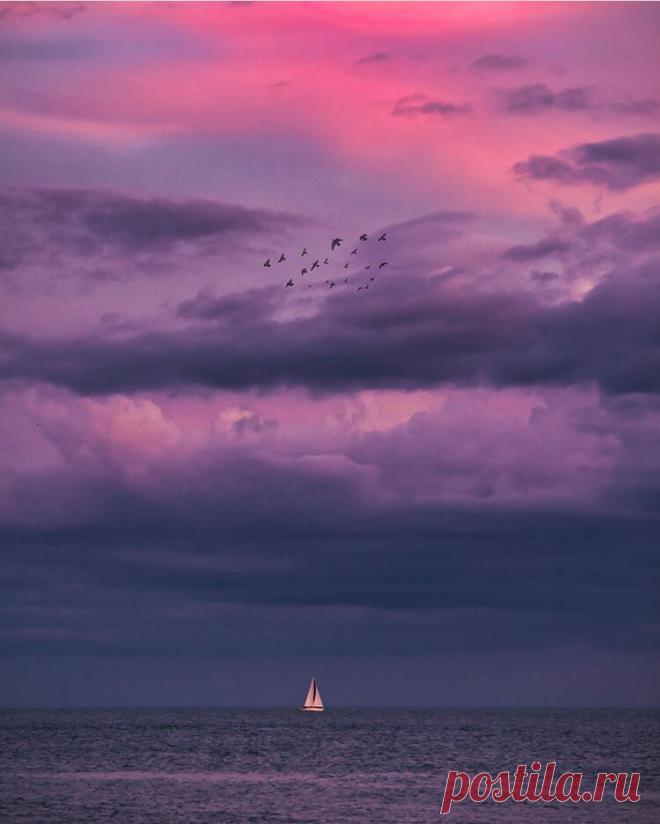 Как проживать потери?
Это печальная песня шамана из племени Майя о том, как пережить потери, своего рода молитва, которая вытягивает боль из души и успокаивает сердце. » Оно случилось. Твой дом разрушен, земля сожжена, оружие унесла река, скот погиб. Все, что ты строил и растил много лет, больше не существует. Подойди сюда. Здесь горит мой костер и здесь […]
Читай дальше на сайте. Жми подробнее ➡