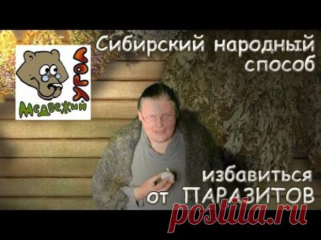 Сибирский народный способ избавиться от паразитов