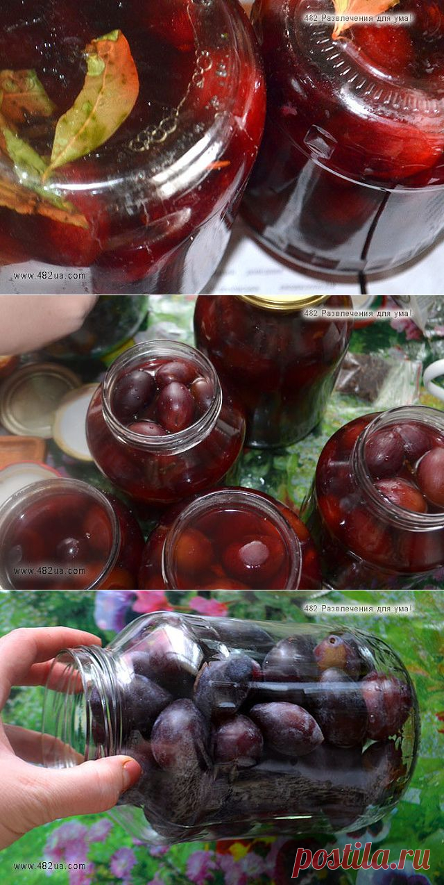 (50) Одноклассники