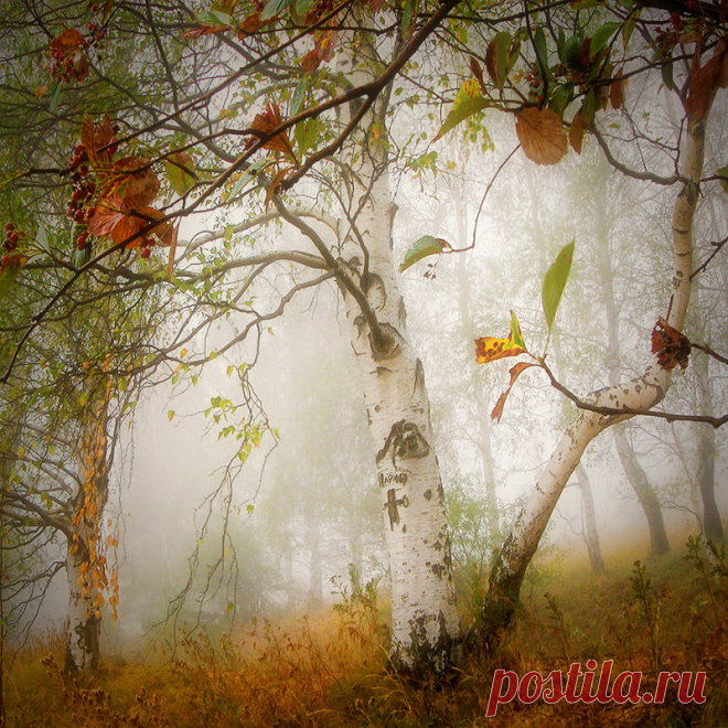 35PHOTO - Ирина Костова - Скажи мне, осень...